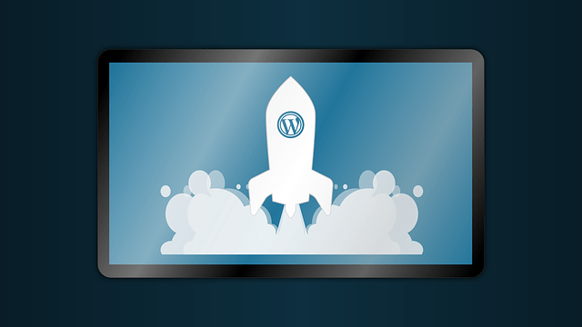 Wordpress logo on a rocket