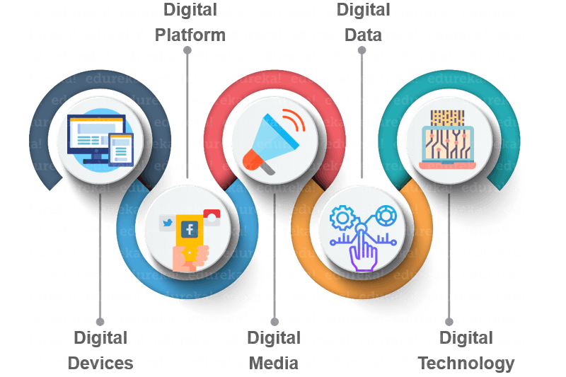 Digital marketing company in Punjab